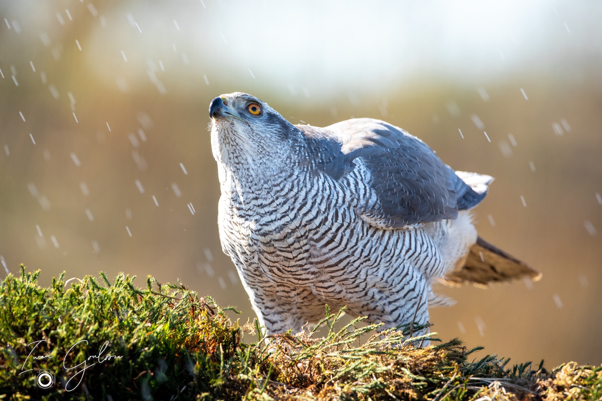 27 maart 2022 143401  5D44847